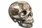 Realistic, Dark Coquina Stone Skull #382129-1